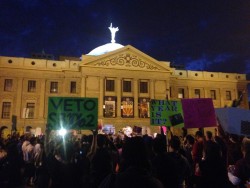 Protest in front of the State Capitol on Feb 24th, 2014