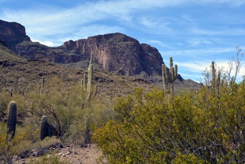 tucson-southern-arizona