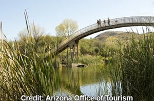 Patagonia-Lake-State-Park_Arizona Office of Tourism