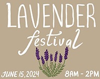 lavendar-festival