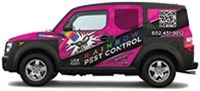 rainbow-pest-control1