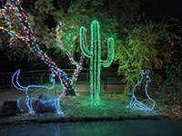 phoenix-zoo-lights