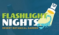 Flashlight-Nights